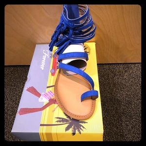 Brand New Royal Blue Sandals! Size 6!